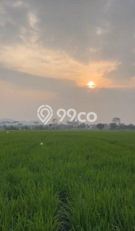 Lahan Kosong Dijual di Cicalengka, Bandung, Luas 1498m2 Area Strategis Lahan Kosong Dijual di Cicalengka, Bandung, Luas 1498m2 Area Strategis