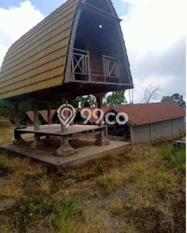 Tanah untuk Dijual Lokasi Sukasada, Buleleng Luas 65000m2 SHM Tanah untuk Dijual Lokasi Sukasada, Buleleng Luas 65000m2 SHM