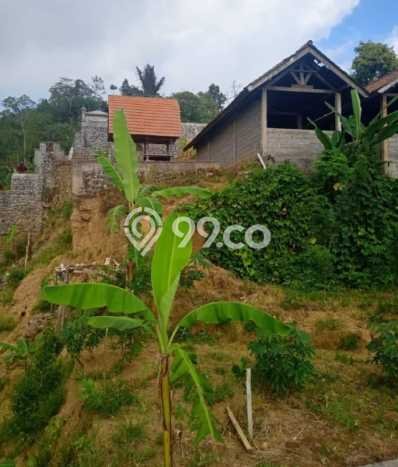 Tanah untuk Dijual Lokasi Sukasada, Buleleng Luas 65000m2 SHM Tanah untuk Dijual Lokasi Sukasada, Buleleng Luas 65000m2 SHM