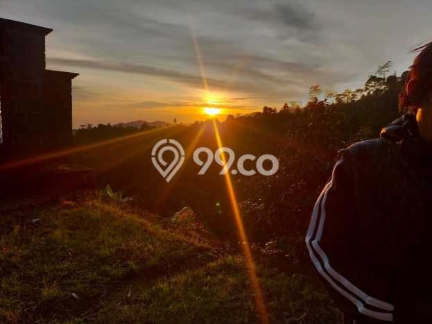 Tanah untuk Dijual Lokasi Sukasada, Buleleng Luas 65000m2 SHM Tanah untuk Dijual Lokasi Sukasada, Buleleng Luas 65000m2 SHM
