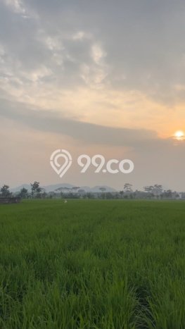 Lahan Kosong Dijual di Cicalengka, Bandung, Luas 1498m2 Area Strategis Lahan Kosong Dijual di Cicalengka, Bandung, Luas 1498m2 Area Strategis