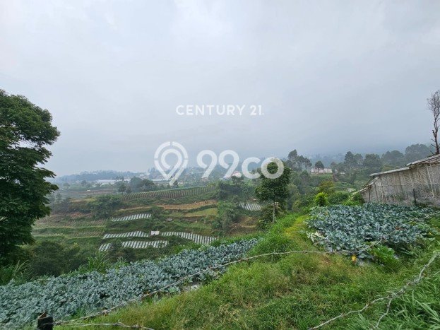 Kavling Tanah Dijual di Lembang Bandung Barat Spesifikasi 3486m2 Kavling Tanah Dijual di Lembang Bandung Barat Spesifikasi 3486m2