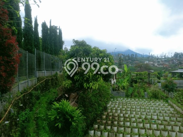 Hunian Eksklusif Dijual LT 2594m2 di Ciwidey, Bandung Hunian Eksklusif Dijual LT 2594m2 di Ciwidey, Bandung