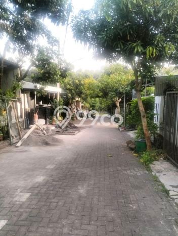 Dijual Cepat Rumah Bagus Siap Huni LB 120m2 di Ngaliyan, Semarang Dijual Cepat Rumah Bagus Siap Huni LB 120m2 di Ngaliyan, Semarang