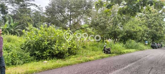 Tanah Dijual di Boyolali Seluas 36000m2 Strategis Tanah Dijual di Boyolali Seluas 36000m2 Strategis