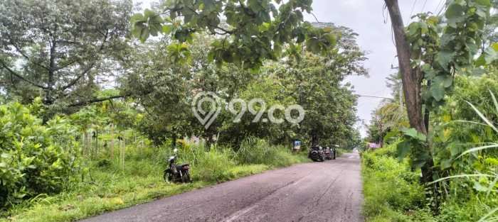 Tanah Dijual di Boyolali Seluas 36000m2 Strategis Tanah Dijual di Boyolali Seluas 36000m2 Strategis