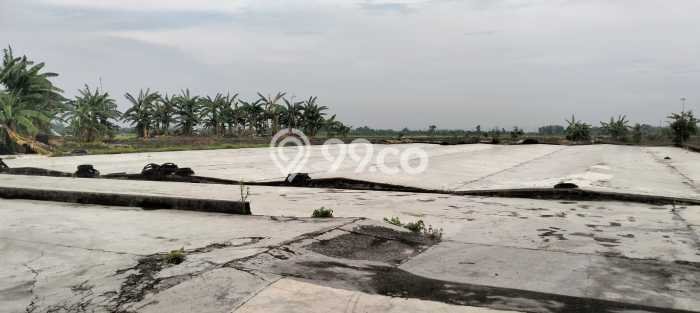 Unit Gudang Dijual di Demak Demak Luas Bangunan 2100m2 Unit Gudang Dijual di Demak Demak Luas Bangunan 2100m2