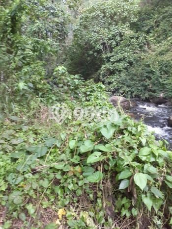 Tanah Kosong Dijual di Minahasa Utara dengan Area 57886m2 Tanah Kosong Dijual di Minahasa Utara dengan Area 57886m2