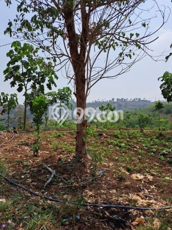 Tanah Kavling untuk Dijual di Soreang Bandung 35000m2 Tanah Kavling untuk Dijual di Soreang Bandung 35000m2