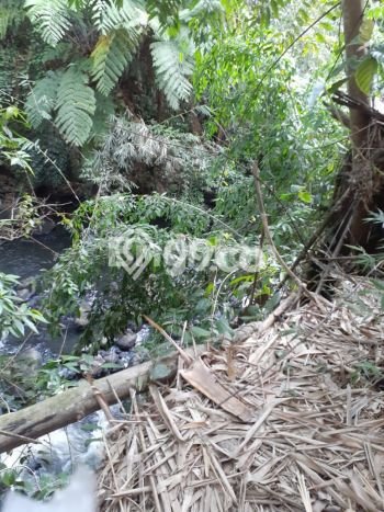 Tanah Kosong Dijual di Minahasa Utara dengan Area 57886m2 Tanah Kosong Dijual di Minahasa Utara dengan Area 57886m2