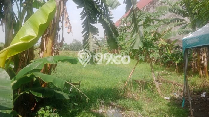 Lahan Kosong Dijual di Karawang Barat, Karawang, Luas 2420m2 Area Strategis Lahan Kosong Dijual di Karawang Barat, Karawang, Luas 2420m2 Area Strategis