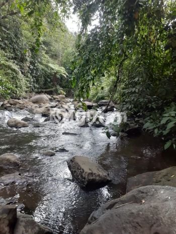 Tanah Kosong Dijual di Minahasa Utara dengan Area 57886m2 Tanah Kosong Dijual di Minahasa Utara dengan Area 57886m2
