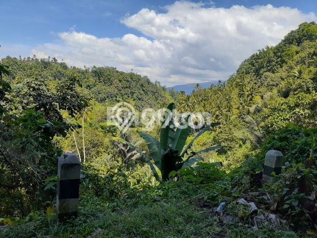 Tanah Kosong Dijual di Minahasa Utara dengan Area 57886m2 Tanah Kosong Dijual di Minahasa Utara dengan Area 57886m2
