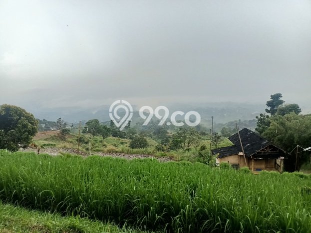 Tanah Dijual Lokasi Cijeruk, Bogor dengan Luas Tanah 7000m2 dan Status - Tanah Dijual Lokasi Cijeruk, Bogor dengan Luas Tanah 7000m2 dan Status -