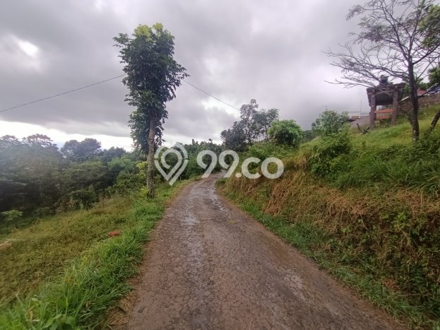 Tanah Dijual Lokasi Cijeruk, Bogor dengan Luas Tanah 7000m2 dan Status - Tanah Dijual Lokasi Cijeruk, Bogor dengan Luas Tanah 7000m2 dan Status -