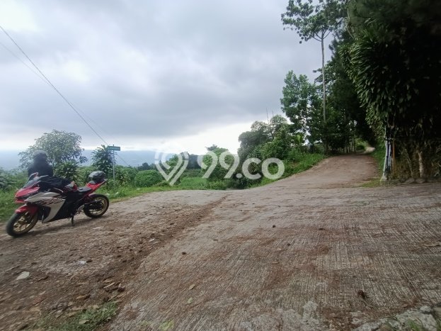 Tanah Dijual Lokasi Cijeruk, Bogor dengan Luas Tanah 7000m2 dan Status - Tanah Dijual Lokasi Cijeruk, Bogor dengan Luas Tanah 7000m2 dan Status -
