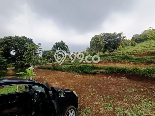 Lahan Kosong Dijual di Bogor dengan Area 5000m2 Lahan Kosong Dijual di Bogor dengan Area 5000m2