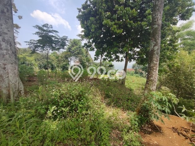 Dijual Tanah di Cijayanti, Luas 3000m², Lokasi Strategis, Kontur Datar Dijual Tanah di Cijayanti, Luas 3000m², Lokasi Strategis, Kontur Datar