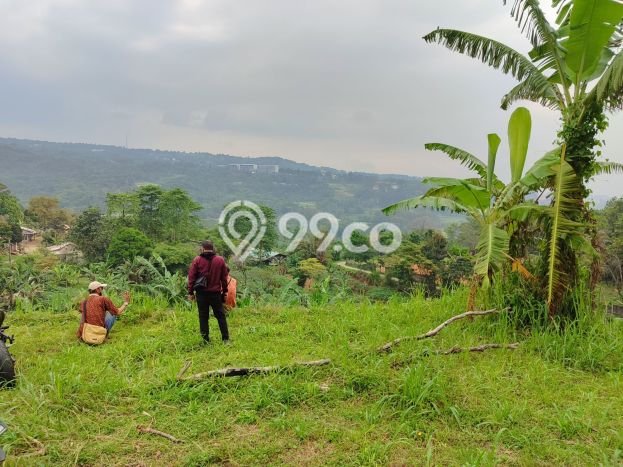Tanah Investasi Dijual di Bogor Punya Luas 4000m2 Tanah Investasi Dijual di Bogor Punya Luas 4000m2