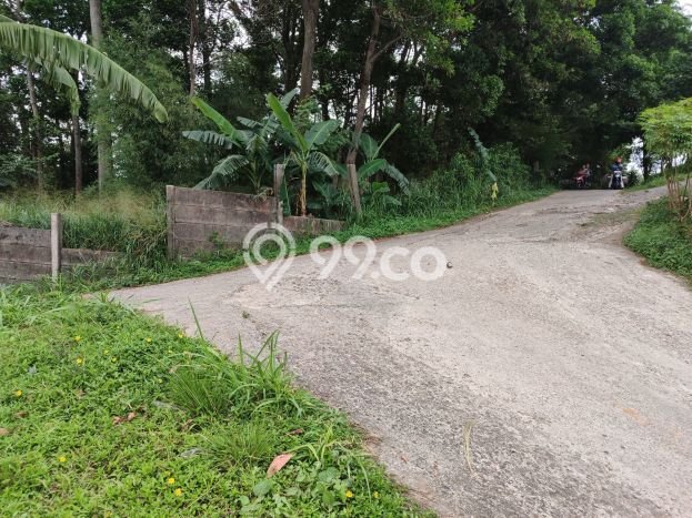 Tanah Investasi Dijual di Bogor Punya Luas 4000m2 Tanah Investasi Dijual di Bogor Punya Luas 4000m2