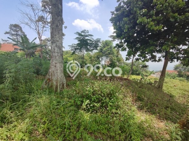 Dijual Tanah di Cijayanti, Luas 3000m², Lokasi Strategis, Kontur Datar Dijual Tanah di Cijayanti, Luas 3000m², Lokasi Strategis, Kontur Datar
