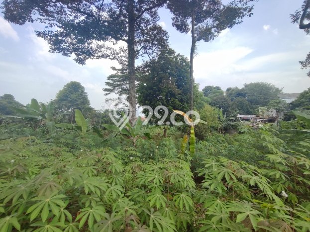 Dijual Tanah di Cijayanti, Luas 3000m², Lokasi Strategis, Kontur Datar Dijual Tanah di Cijayanti, Luas 3000m², Lokasi Strategis, Kontur Datar