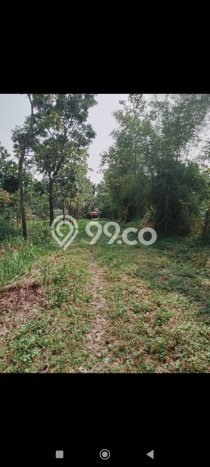 Tanah di Sukamakmur, Luas 15000m², Lokasi Strategis, Lingkungan Nyaman Tanah di Sukamakmur, Luas 15000m², Lokasi Strategis, Lingkungan Nyaman
