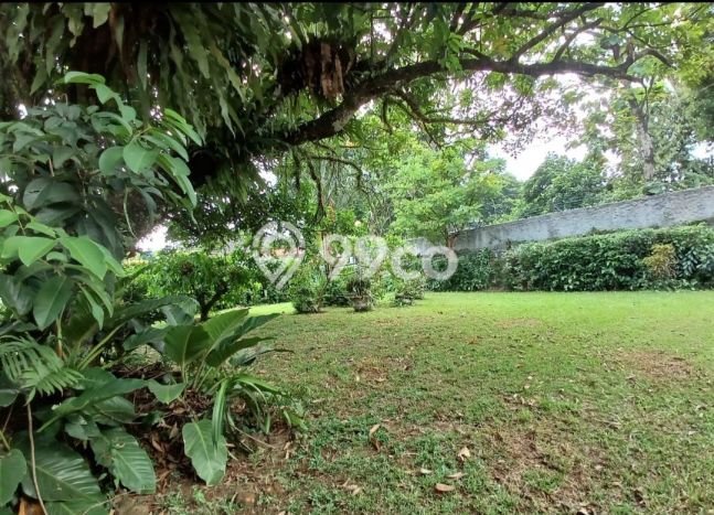 Rumah Eksklusif Dijual LT 1497m2 di Bogor Barat, Bogor Rumah Eksklusif Dijual LT 1497m2 di Bogor Barat, Bogor