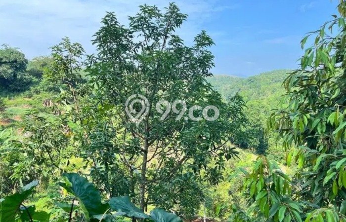 Lahan untuk Dijual di Jasinga Bogor Luas 23500m2 Lahan untuk Dijual di Jasinga Bogor Luas 23500m2
