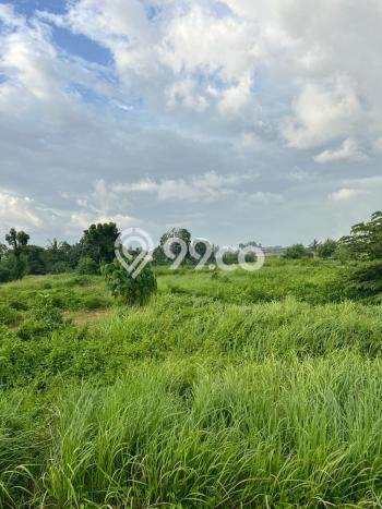Tanah Kavling Dijual di Tabanan dengan Spesifikasi 500m2 Tanah Kavling Dijual di Tabanan dengan Spesifikasi 500m2