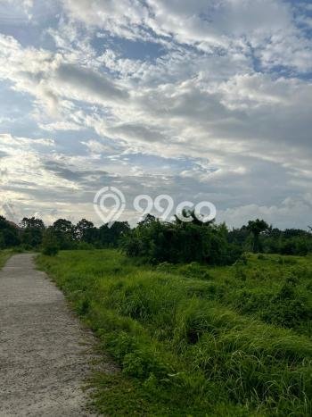 Tanah Kavling Dijual di Tabanan dengan Spesifikasi 500m2 Tanah Kavling Dijual di Tabanan dengan Spesifikasi 500m2