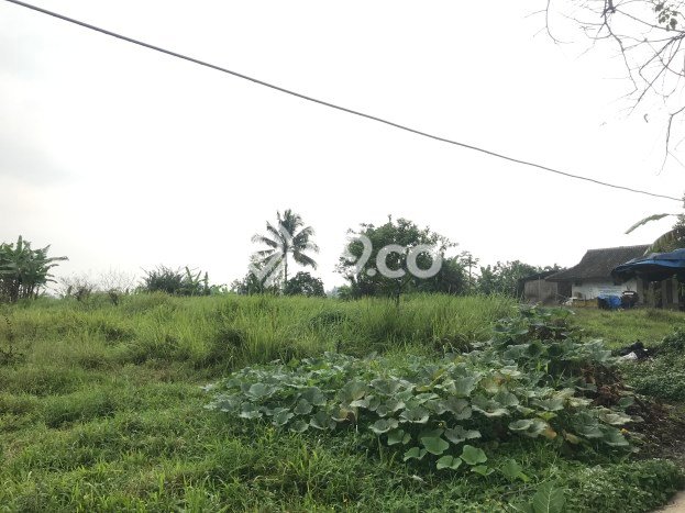 Tanah Area Prospektif di Cicurug, Luas 9890m2m², Akses ke Fasilitas, Lingkungan Asri Tanah Area Prospektif di Cicurug, Luas 9890m2m², Akses ke Fasilitas, Lingkungan Asri