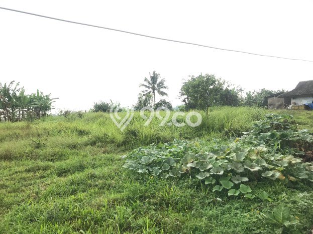 Tanah Area Prospektif di Cicurug, Luas 9890m2m², Akses ke Fasilitas, Lingkungan Asri Tanah Area Prospektif di Cicurug, Luas 9890m2m², Akses ke Fasilitas, Lingkungan Asri