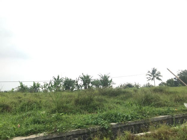 Tanah Area Prospektif di Cicurug, Luas 9890m2m², Akses ke Fasilitas, Lingkungan Asri Tanah Area Prospektif di Cicurug, Luas 9890m2m², Akses ke Fasilitas, Lingkungan Asri