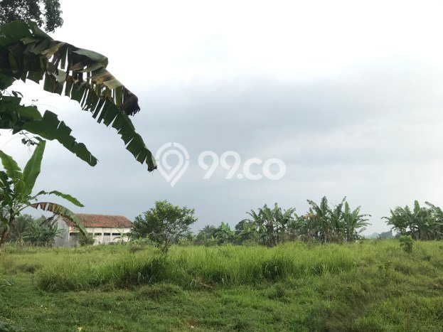 Tanah Area Prospektif di Cicurug, Luas 9890m2m², Akses ke Fasilitas, Lingkungan Asri Tanah Area Prospektif di Cicurug, Luas 9890m2m², Akses ke Fasilitas, Lingkungan Asri