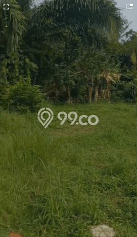 Lahan Kosong Dijual di Bogor dengan Area 100m2 Lahan Kosong Dijual di Bogor dengan Area 100m2