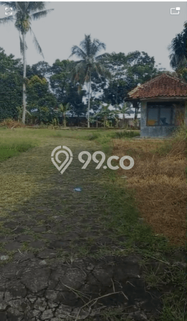 Lahan Kosong Dijual di Bogor dengan Area 100m2 Lahan Kosong Dijual di Bogor dengan Area 100m2