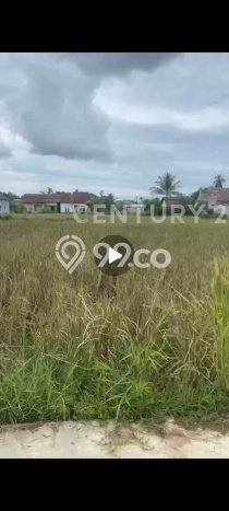 Tanah Premium di Kubu, Luas 200m2m², Cocok untuk Investasi Tanah Premium di Kubu, Luas 200m2m², Cocok untuk Investasi