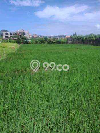 Lahan untuk Disewa di Badung Luas 2000m2 Lahan untuk Disewa di Badung Luas 2000m2