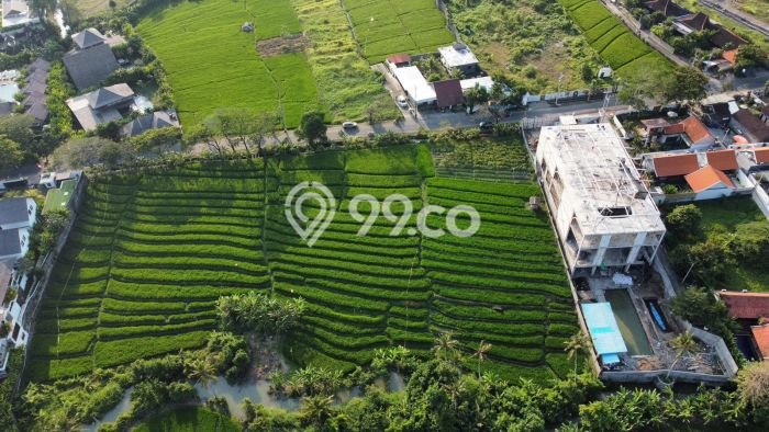 Tanah Dijual di Badung Seluas 2600m2 Strategis Tanah Dijual di Badung Seluas 2600m2 Strategis