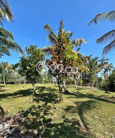 Lahan Kosong Dijual di Selemadeg, Tabanan, Luas 11220m2 Area Strategis Lahan Kosong Dijual di Selemadeg, Tabanan, Luas 11220m2 Area Strategis