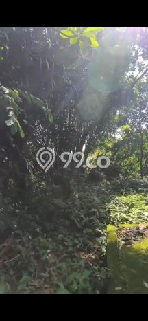 Tanah Disewakan Lokasi Tabanan Seluas 1000m2 Strategis dan Aman Tanah Disewakan Lokasi Tabanan Seluas 1000m2 Strategis dan Aman
