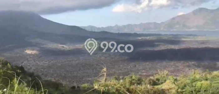 Jarang Ada! Tanah di Kintamani Punya Luas 5500m2 SHM Jarang Ada! Tanah di Kintamani Punya Luas 5500m2 SHM