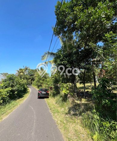 Lahan Kosong Dijual di Selemadeg, Tabanan, Luas 11220m2 Area Strategis Lahan Kosong Dijual di Selemadeg, Tabanan, Luas 11220m2 Area Strategis