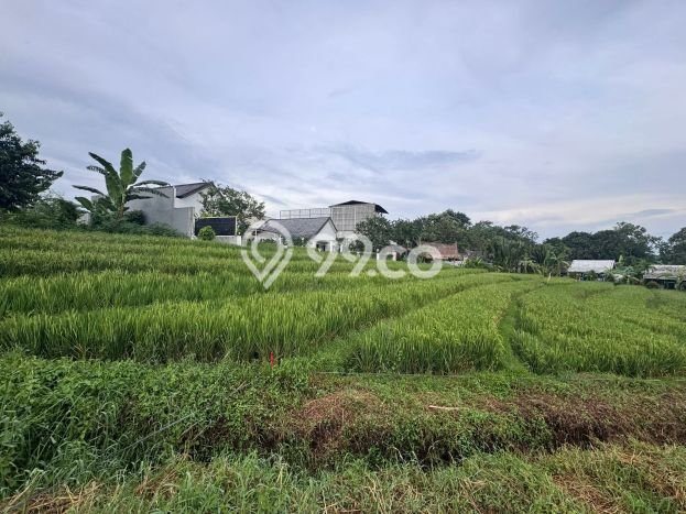 Tanah Disewakan Lokasi Tumbak Bayuh Badung Luas 1000m2 Tanah Disewakan Lokasi Tumbak Bayuh Badung Luas 1000m2