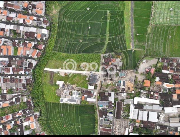 Jarang Ada! Tanah Kavling Disewakan di Badung 1500m2 Jarang Ada! Tanah Kavling Disewakan di Badung 1500m2