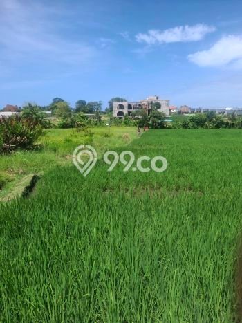Lahan untuk Disewa di Badung Luas 2000m2 Lahan untuk Disewa di Badung Luas 2000m2