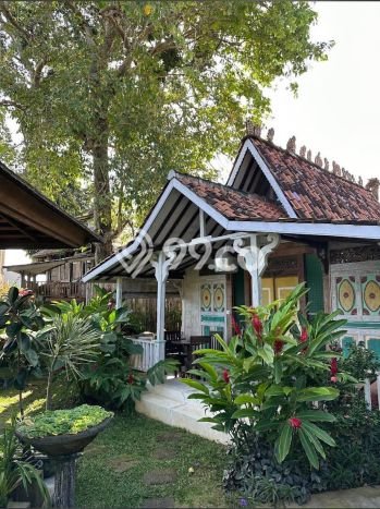 Dijual Tanah 1300m2 di Canggu, Badung Dijual Tanah 1300m2 di Canggu, Badung