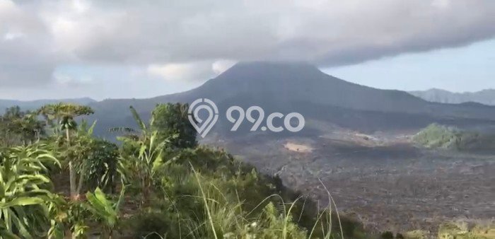 Jarang Ada! Tanah di Kintamani Punya Luas 5500m2 SHM Jarang Ada! Tanah di Kintamani Punya Luas 5500m2 SHM
