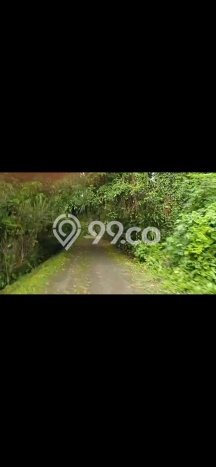Untuk Disewa Tanah di Abiansemal Luas 80000m2 SHM Untuk Disewa Tanah di Abiansemal Luas 80000m2 SHM